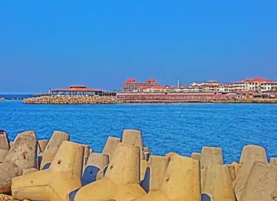 صورة 5